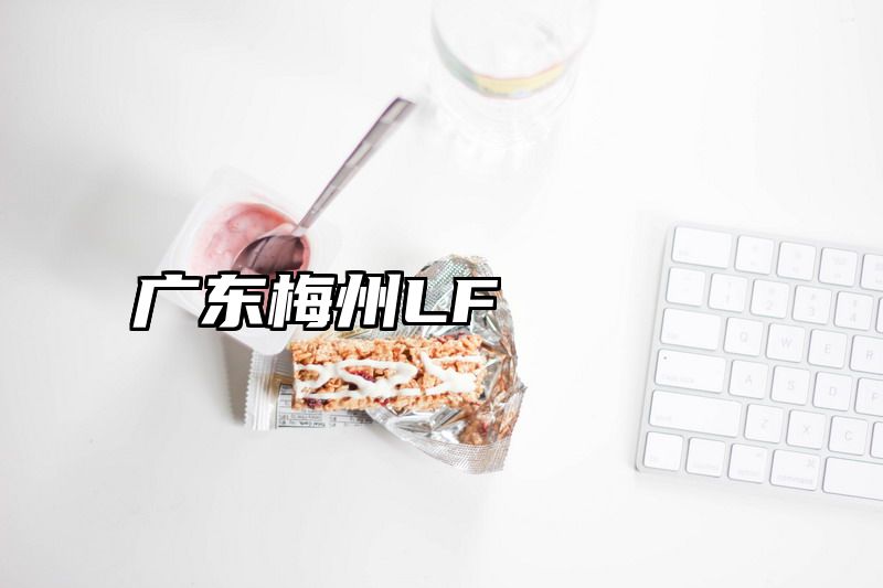 广东梅州LF
