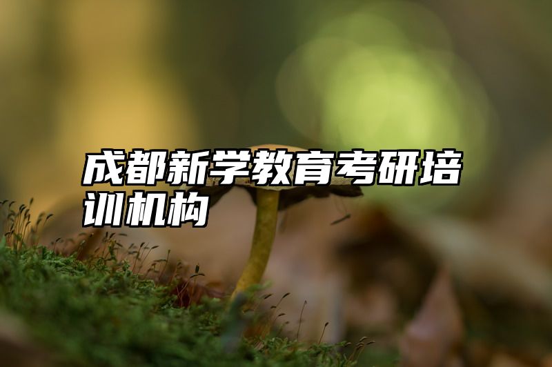 成都新学教育考研培训机构