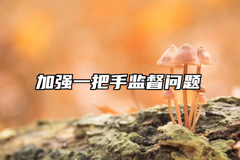 加强一把手监督问题