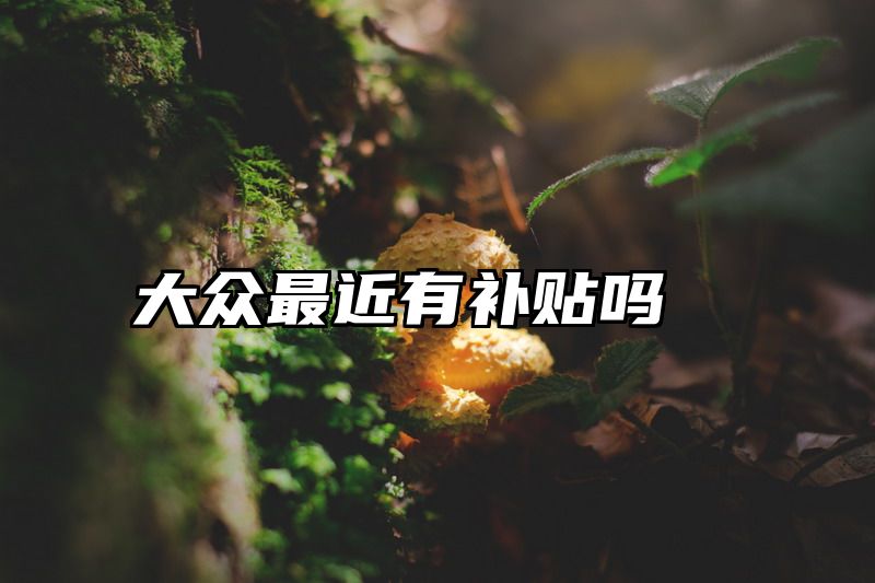 大众最近有补贴吗