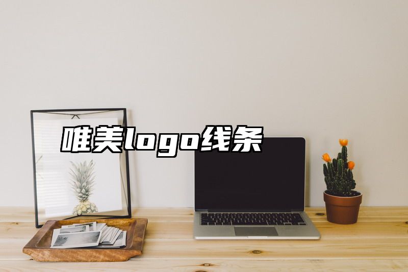 唯美logo线条