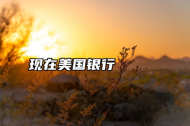 现在美国银行
