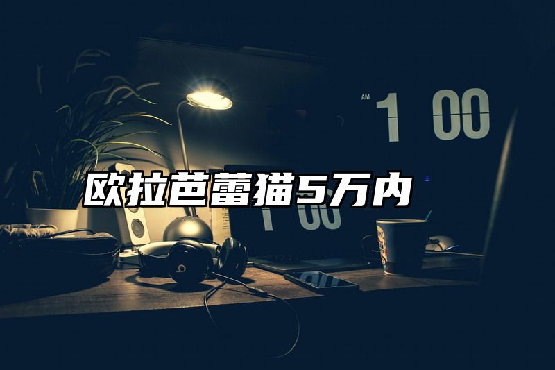 欧拉芭蕾猫5万内
