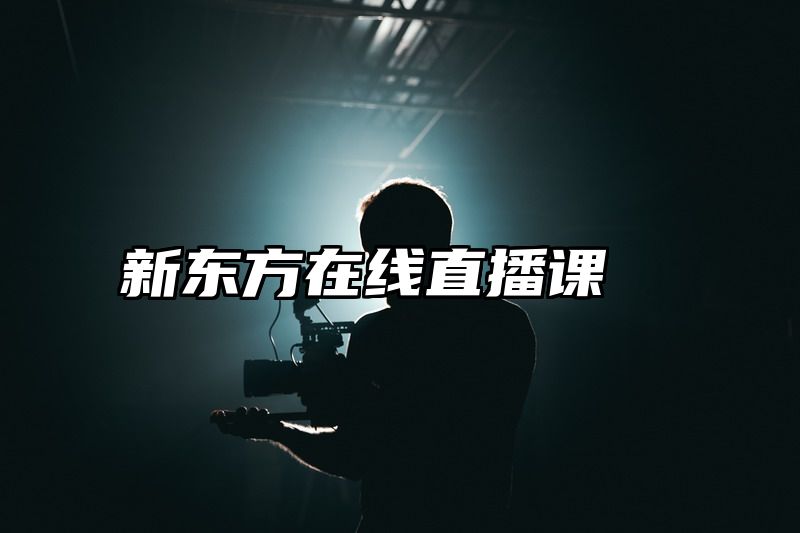 新东方在线直播课
