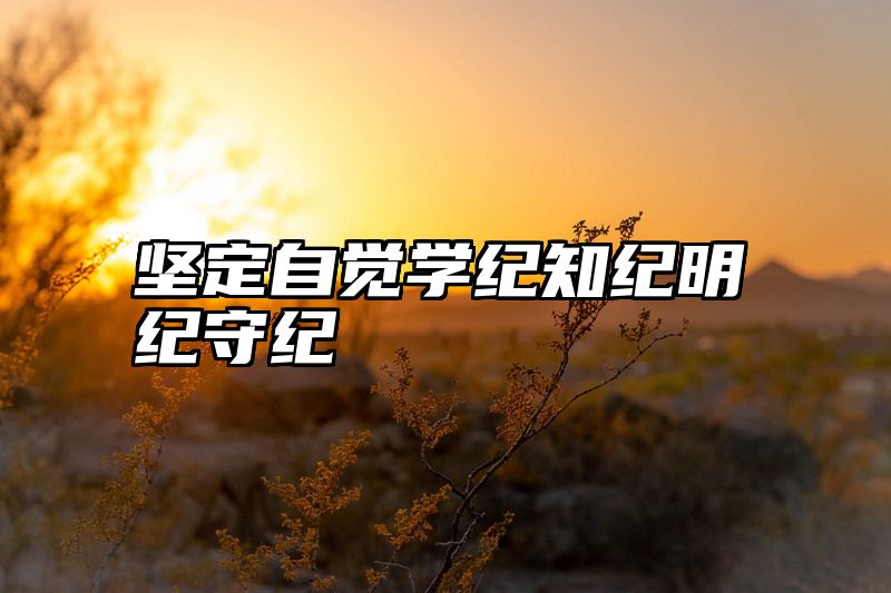 坚定自觉学纪知纪明纪守纪