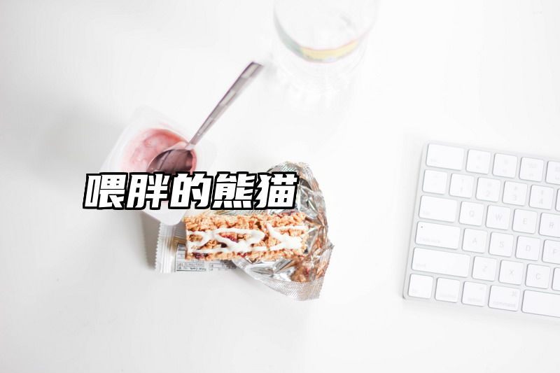 喂胖的熊猫