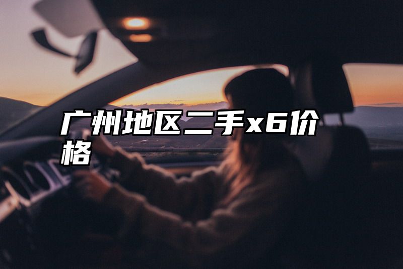 广州地区二手x6价格
