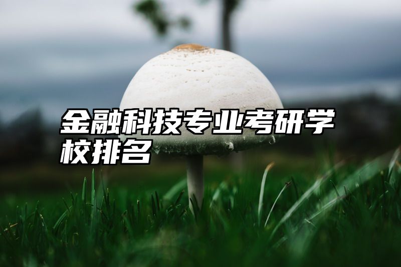 金融科技专业考研学校排名