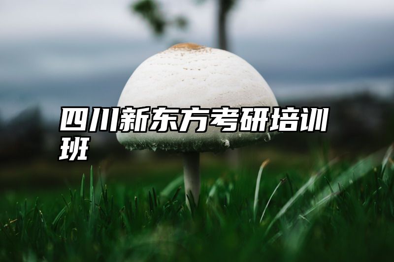 四川新东方考研培训班