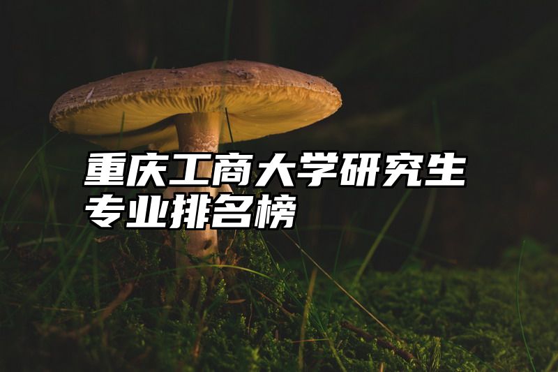 重庆工商大学研究生专业排名榜