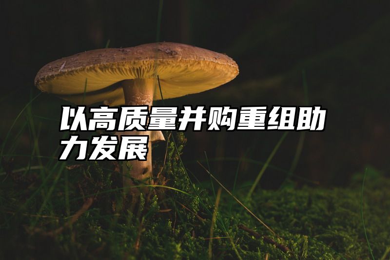 以高质量并购重组助力发展