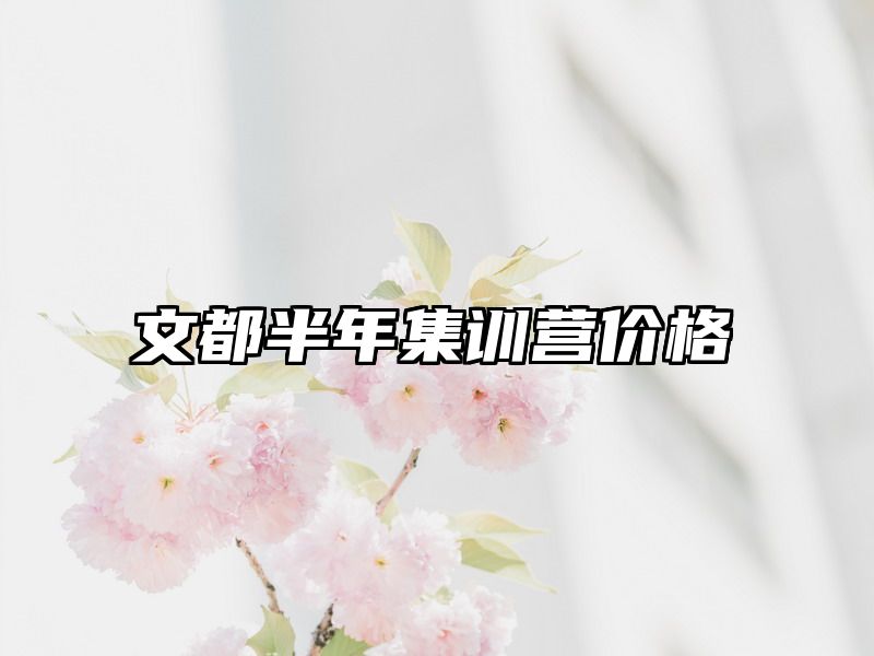文都半年集训营价格