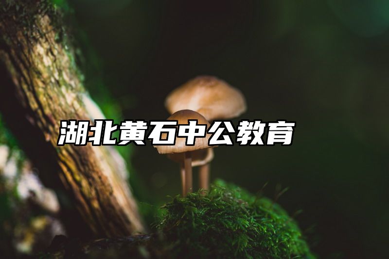 湖北黄石中公教育