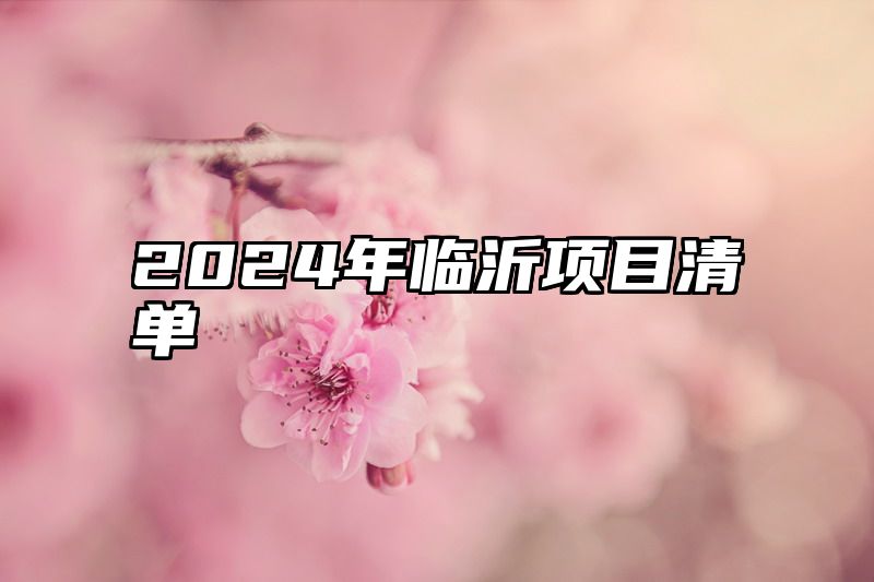 2024年临沂项目清单