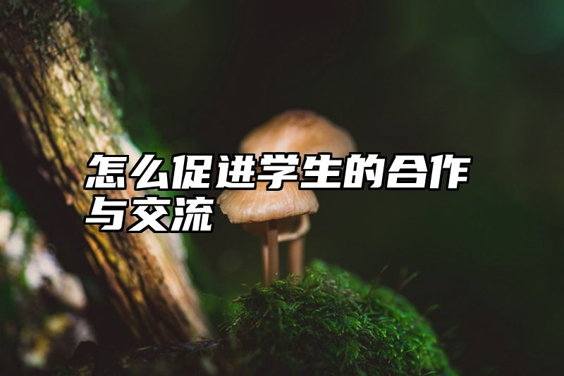 怎么促进学生的合作与交流