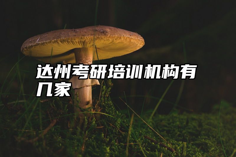 达州考研培训机构有几家