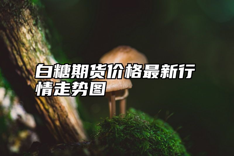 白糖期货价格最新行情走势图