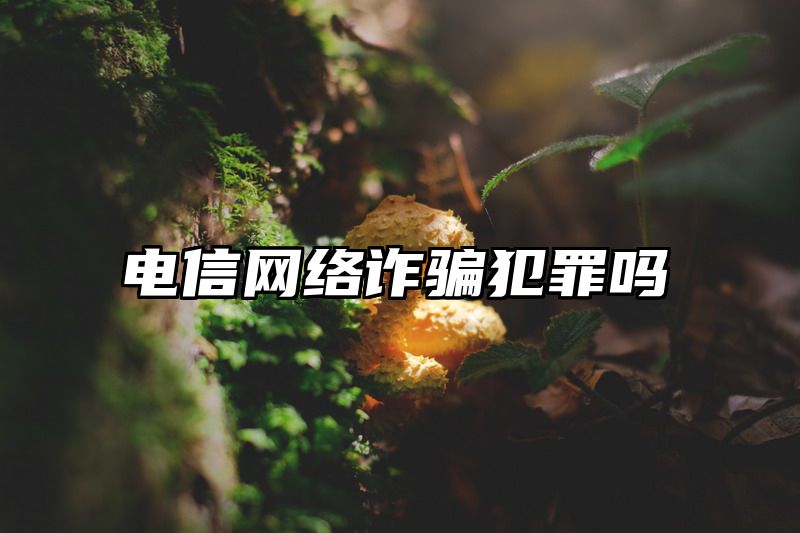 电信网络诈骗犯罪吗