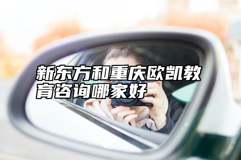 新东方和重庆欧凯教育咨询哪家好