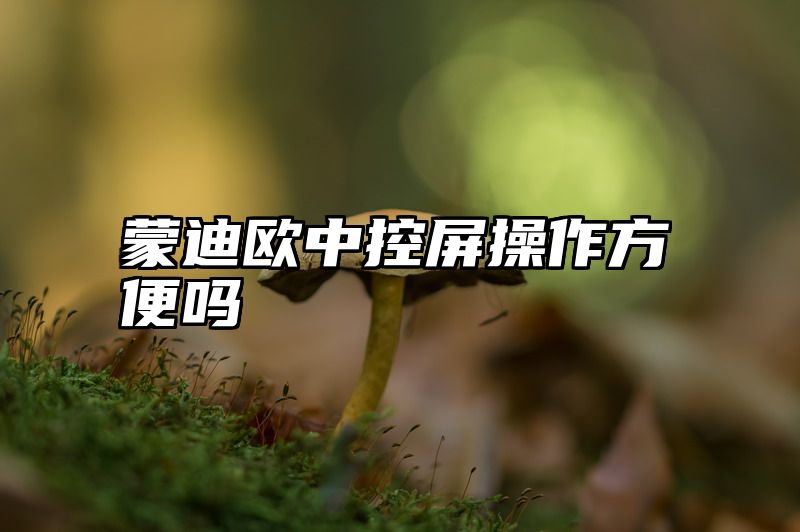 蒙迪欧中控屏操作方便吗