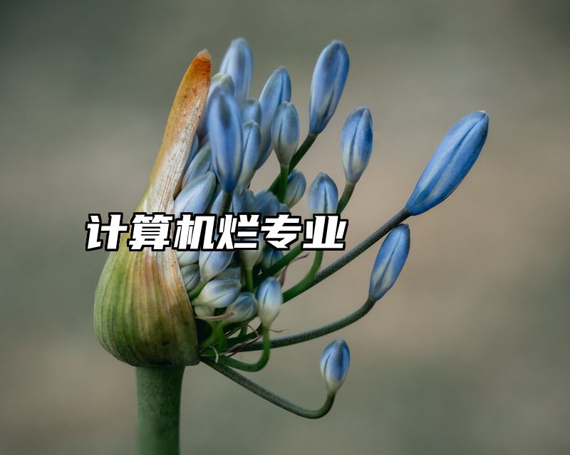 计算机烂专业