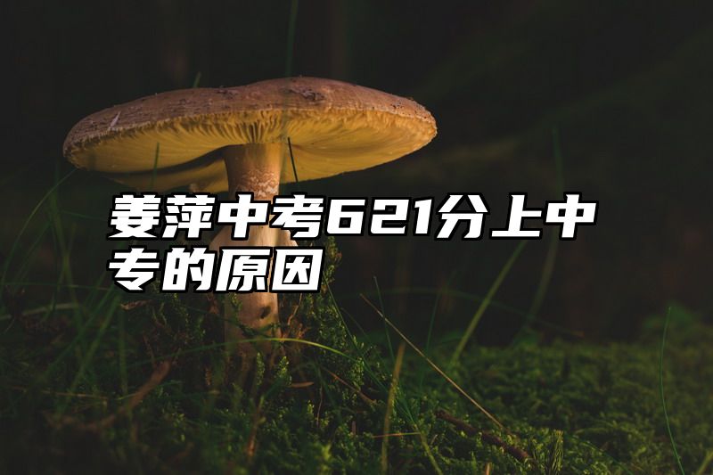 姜萍中考621分上中专的原因