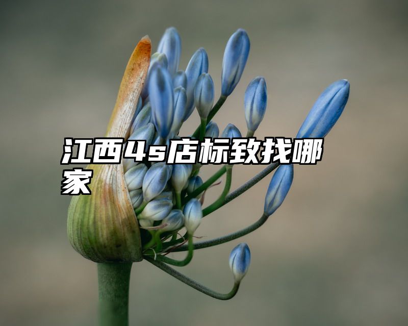 江西4s店标致找哪家