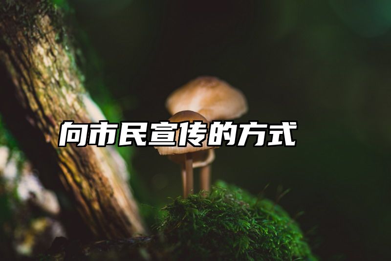 向市民宣传的方式