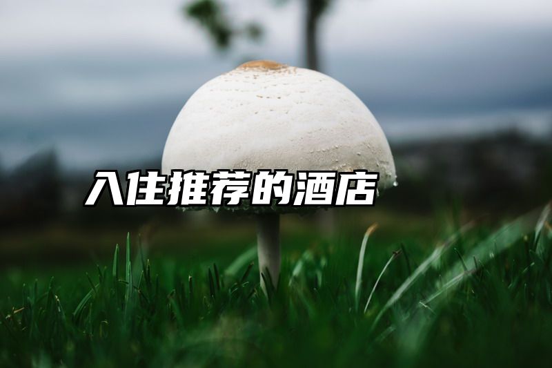 入住推荐的酒店