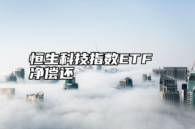 恒生科技指数ETF净偿还