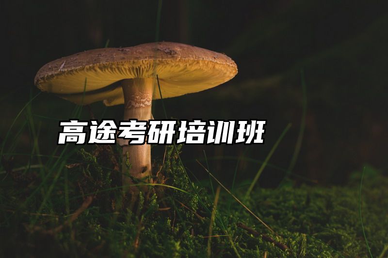 高途考研培训班
