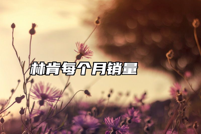 林肯每个月销量