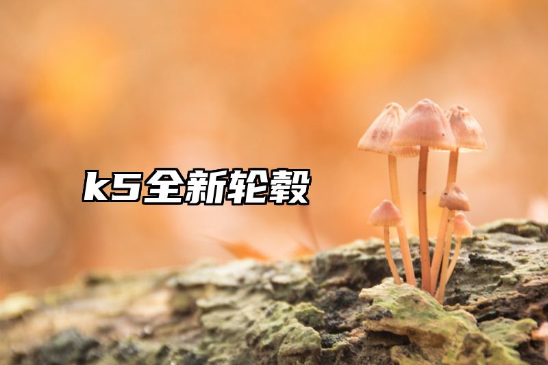 k5全新轮毂