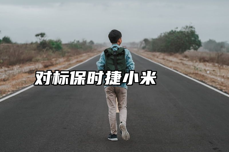 对标保时捷小米