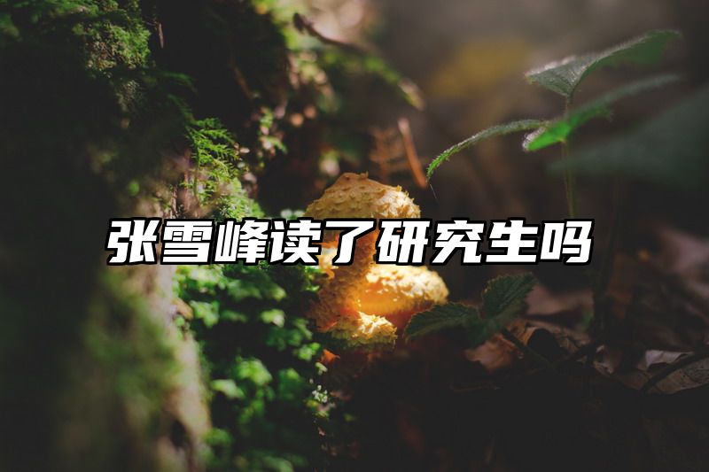 张雪峰读了研究生吗