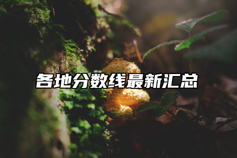各地分数线最新汇总