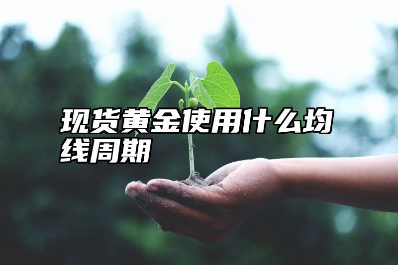 现货黄金使用什么均线周期