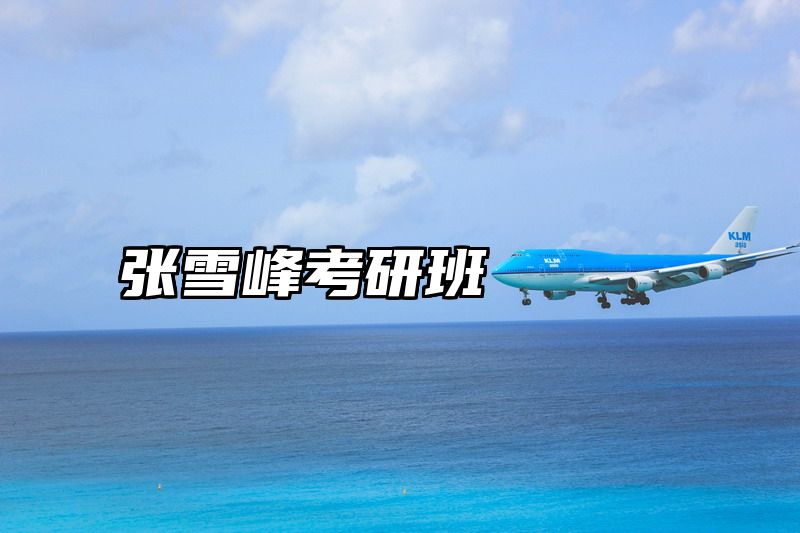 张雪峰考研班