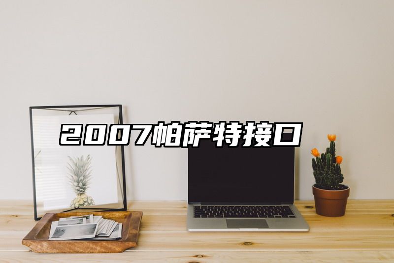 2007帕萨特接口