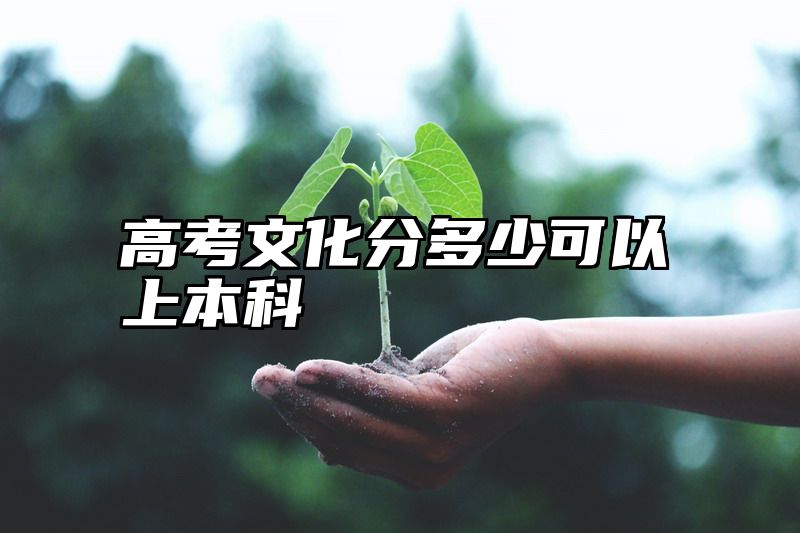 高考文化分多少可以上本科