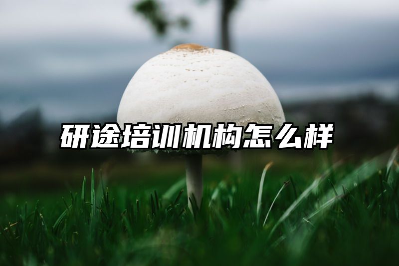 研途培训机构怎么样
