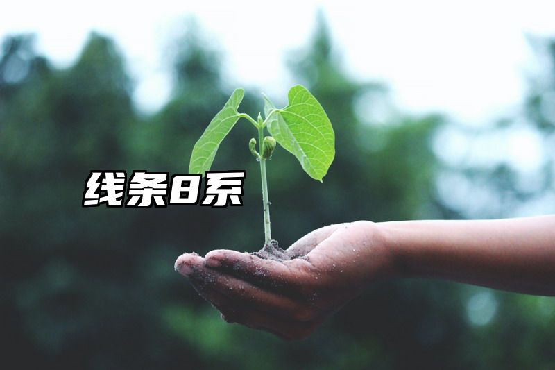 线条8系