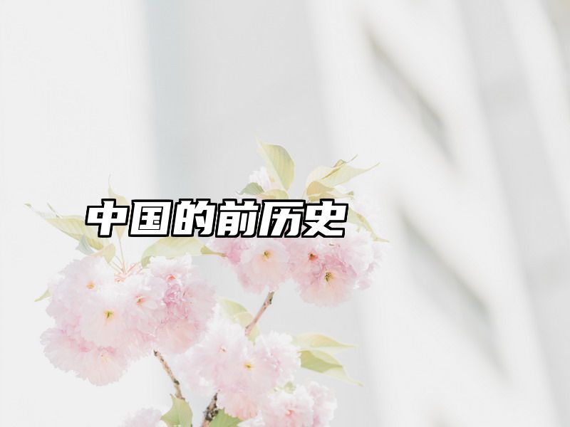 中国的前历史