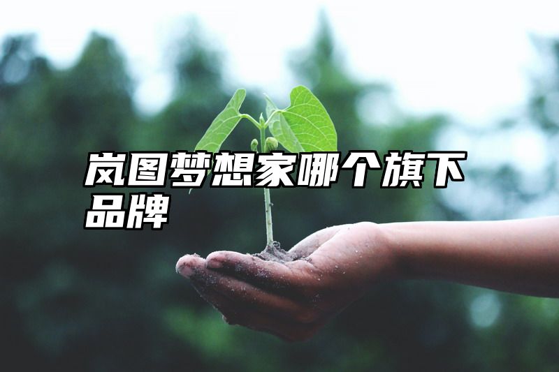 岚图梦想家哪个旗下品牌