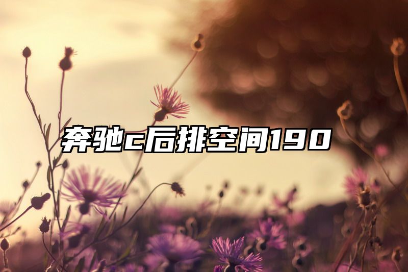 奔驰c后排空间190