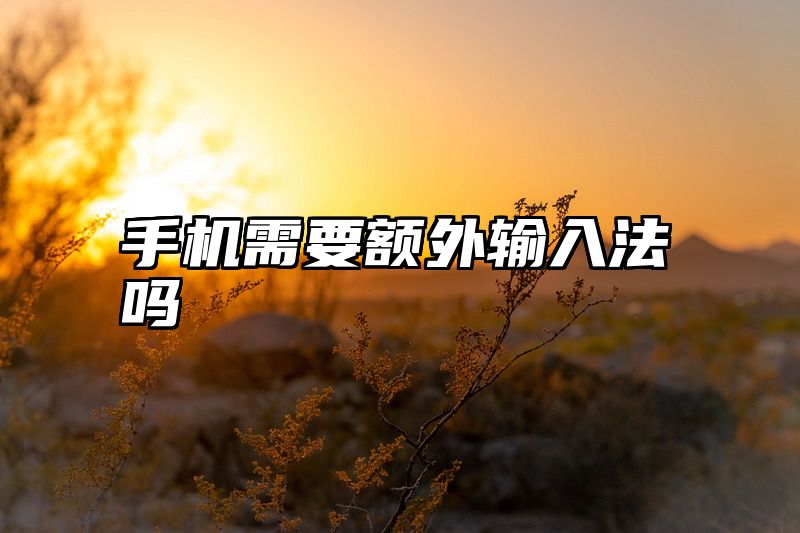 手机需要额外输入法吗
