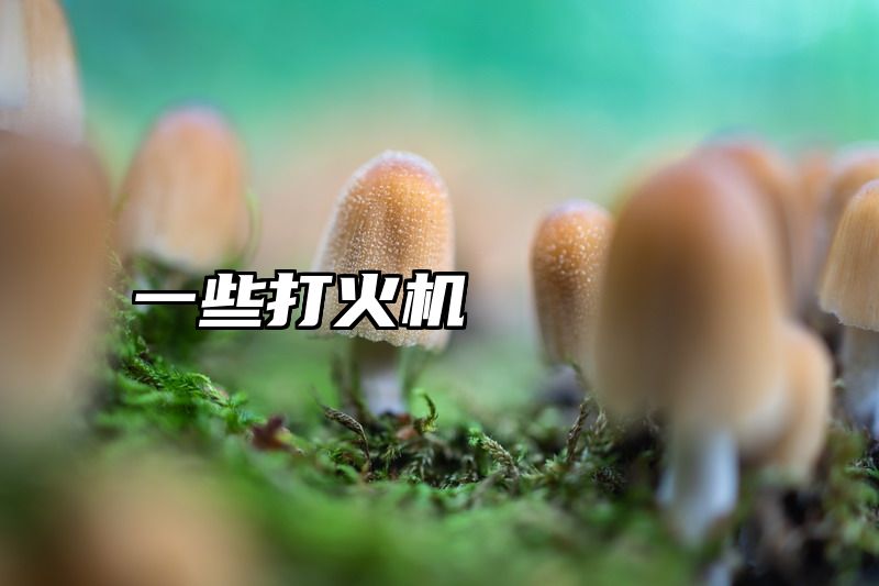 一些打火机