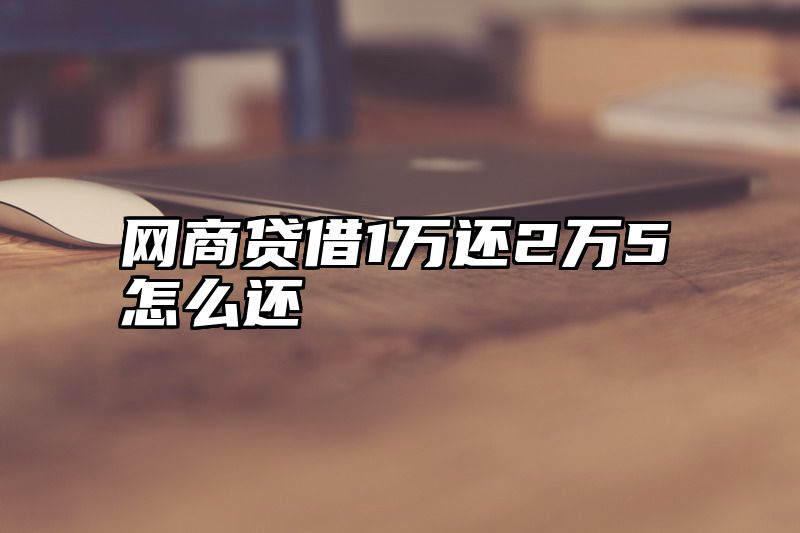 网商贷借1万还2万5怎么还