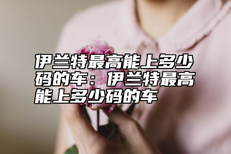 伊兰特最高能上多少码的车：伊兰特最高能上多少码的车