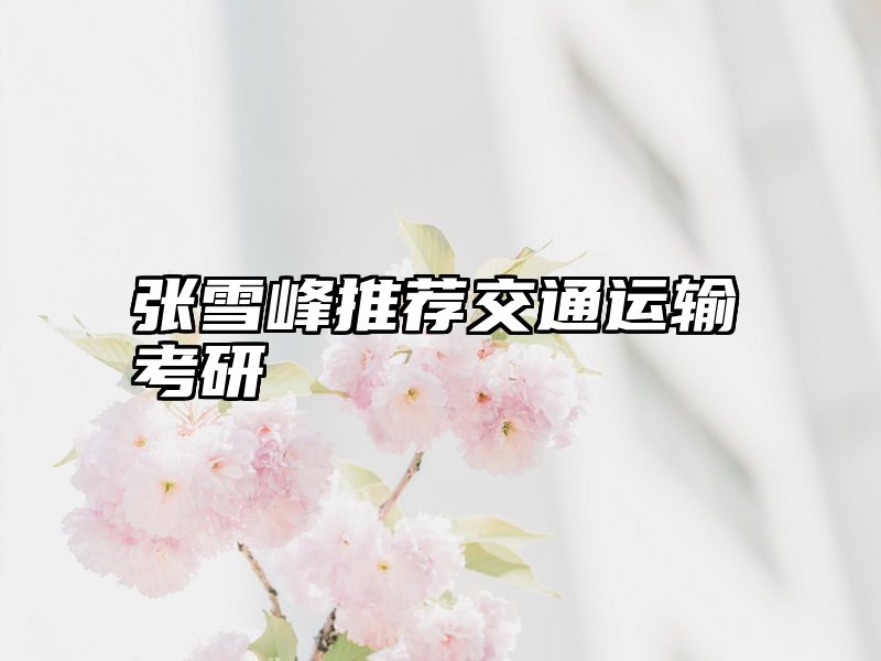 张雪峰推荐交通运输考研